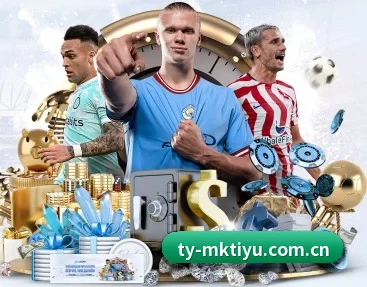 mk体育官方入口 APP - MKSports